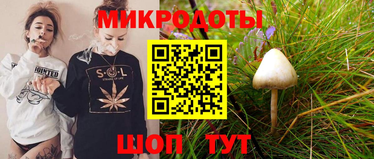 Армавир  Псилоцибиновые грибы мухоморы  купить  сайты  Вход с VPN 
